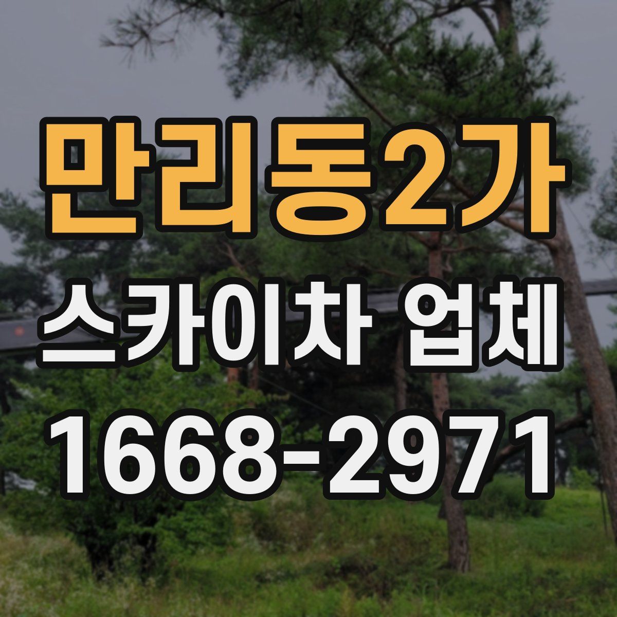 만리동2가 스카이차 업체