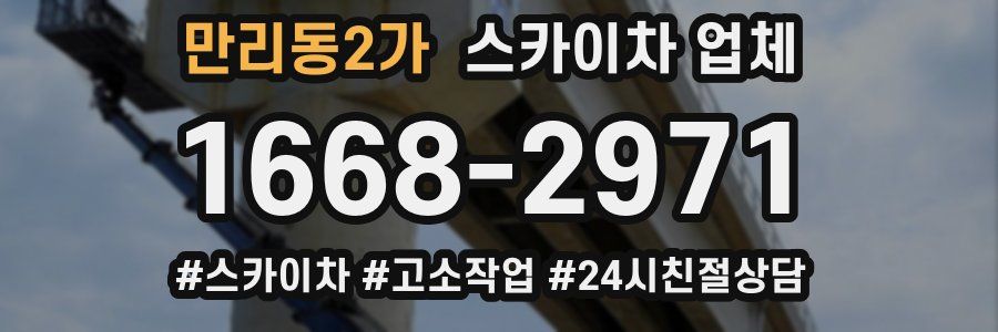 만리동2가 스카이차 업체