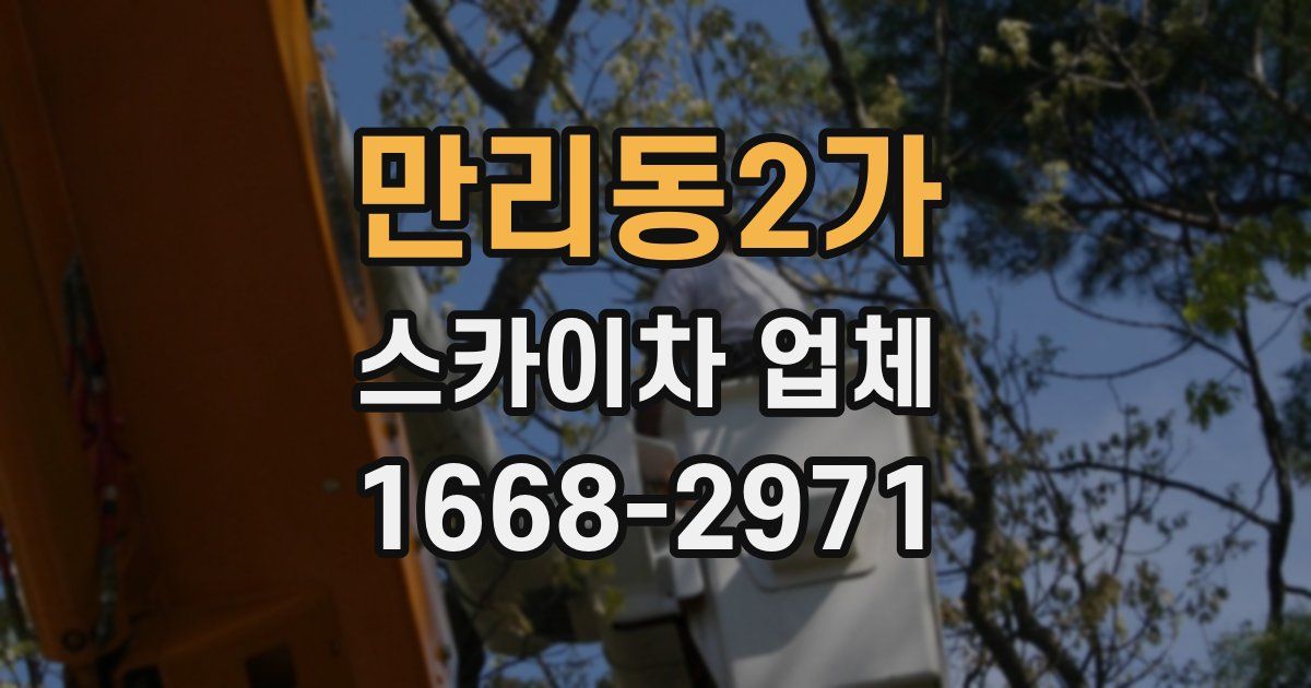 만리동2가 스카이차 업체