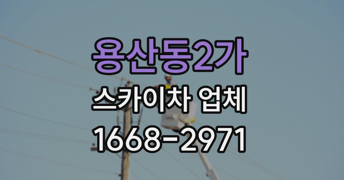용산동2가 스카이차 업체