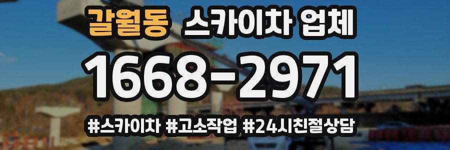 갈월동 스카이차 업체