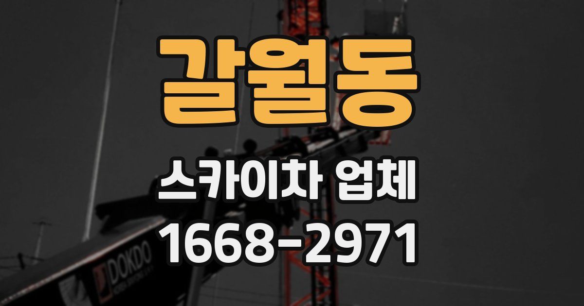 갈월동 스카이차 업체