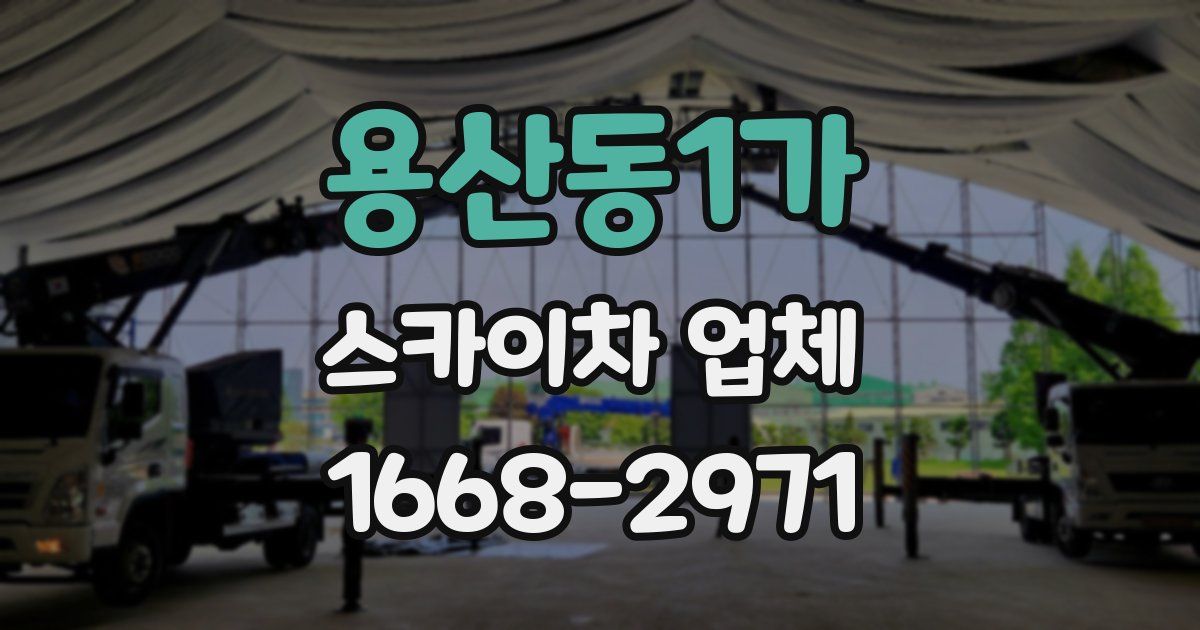 용산동1가 스카이차 업체