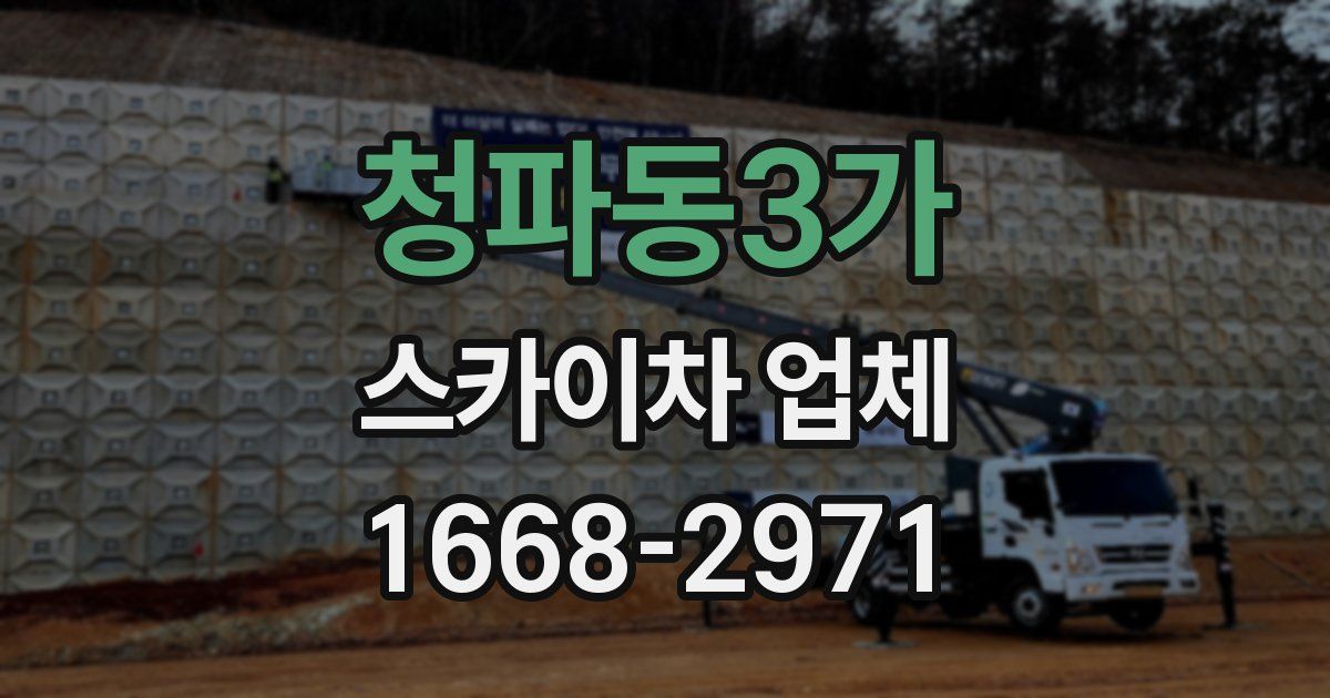 청파동3가 스카이차 업체