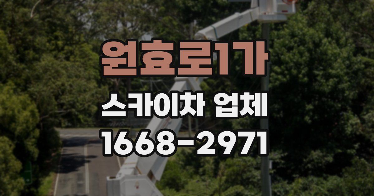 원효로1가 스카이차 업체