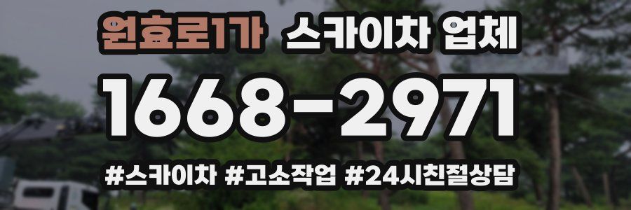 원효로1가 스카이차 업체