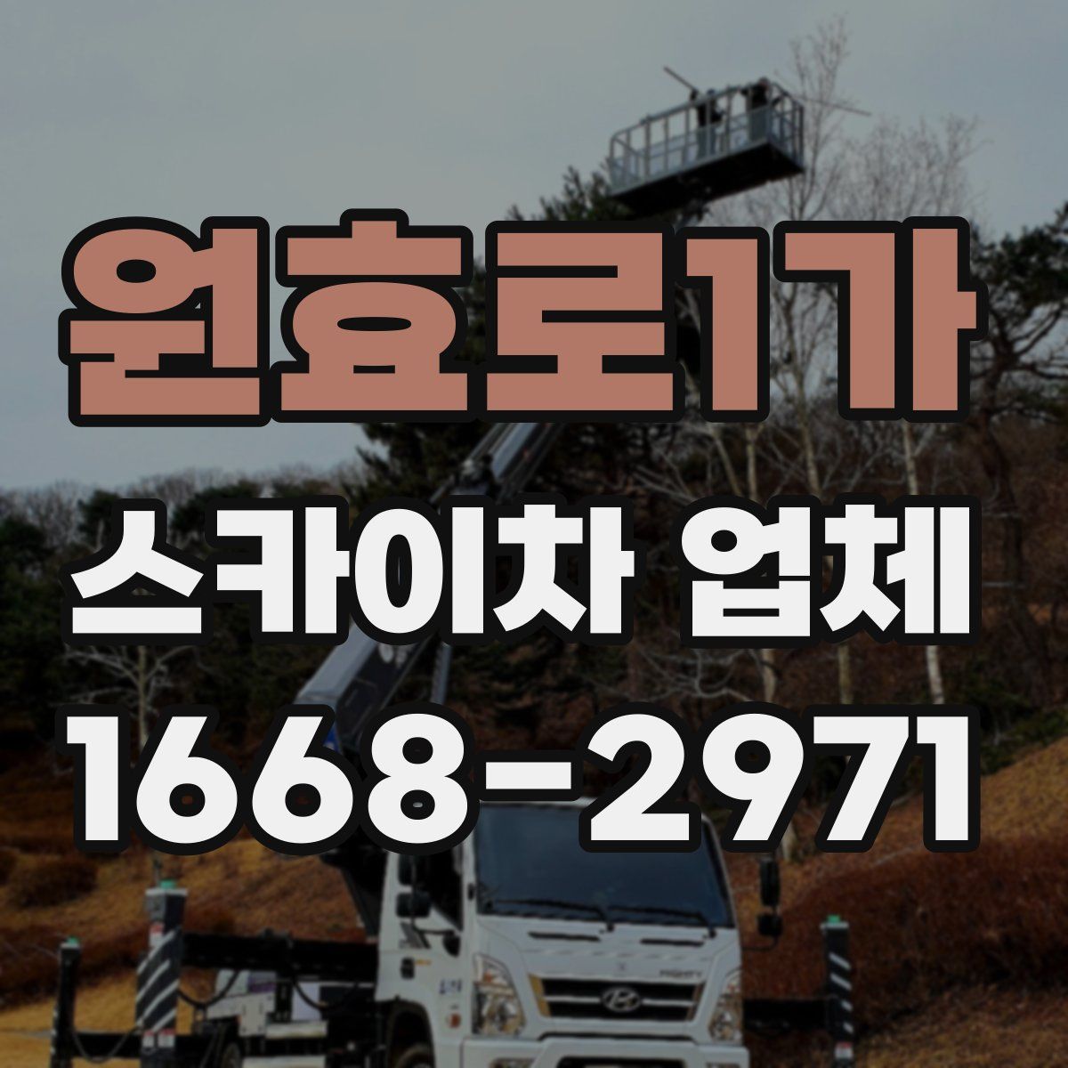 원효로1가 스카이차 업체