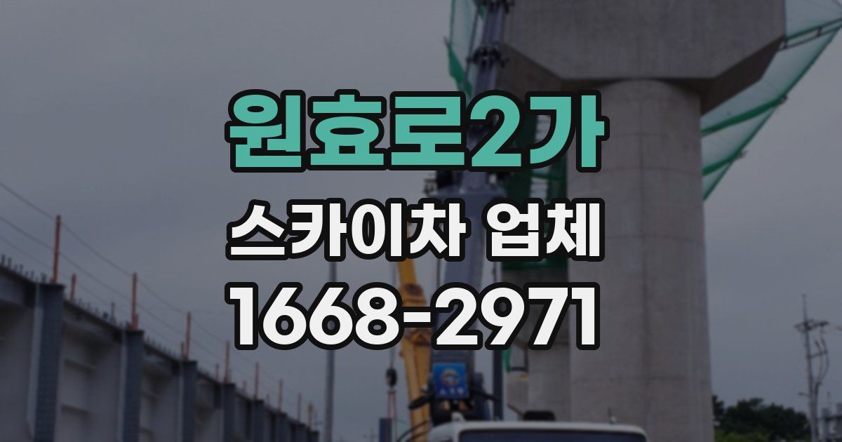 원효로2가 스카이차 업체
