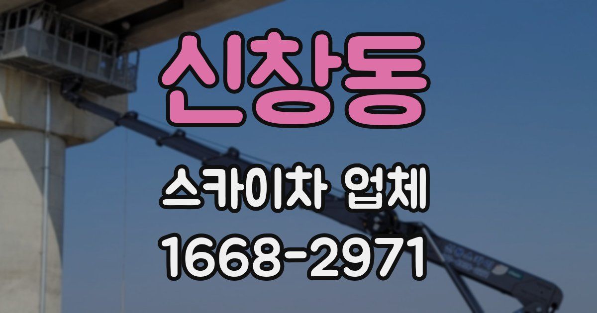 신창동 스카이차 업체