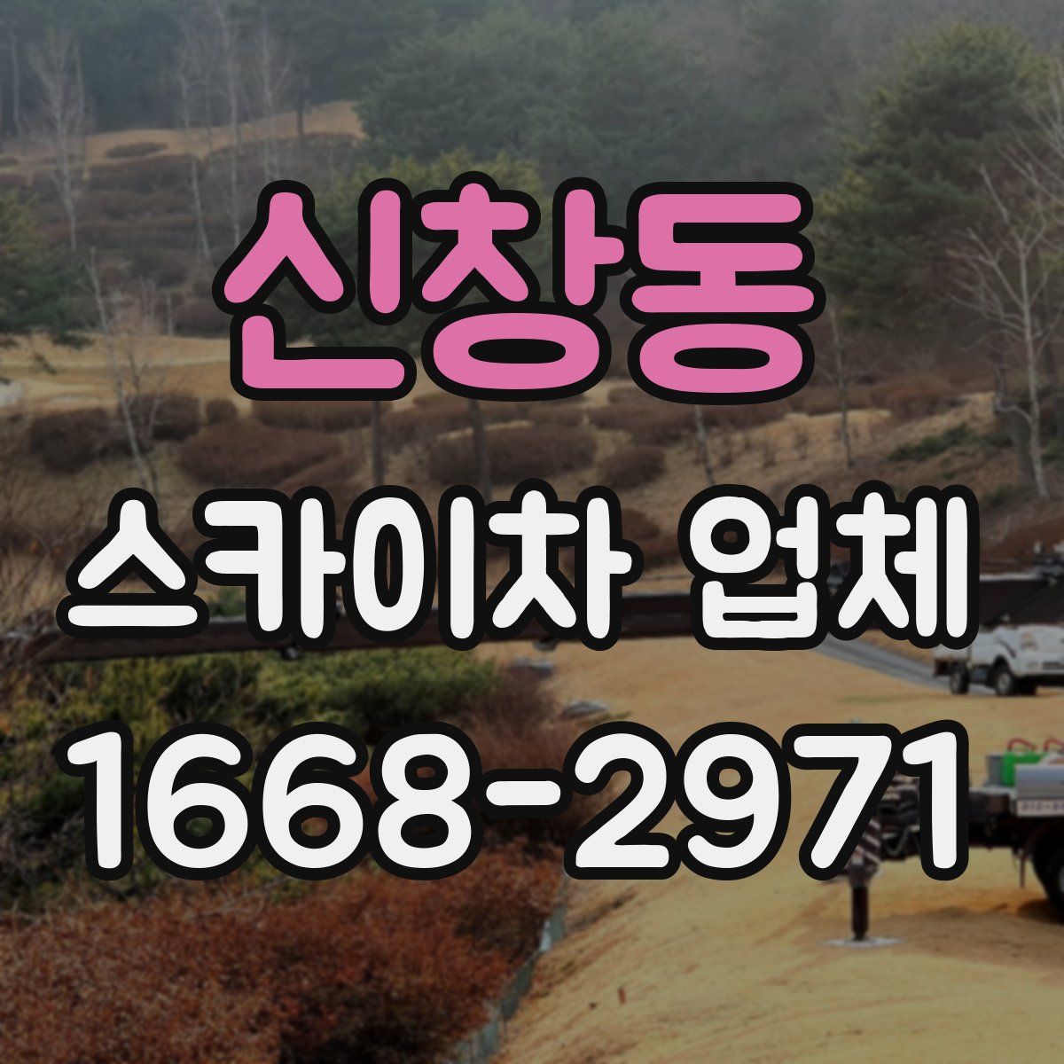 신창동 스카이차 업체