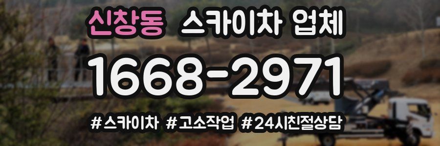 신창동 스카이차 업체