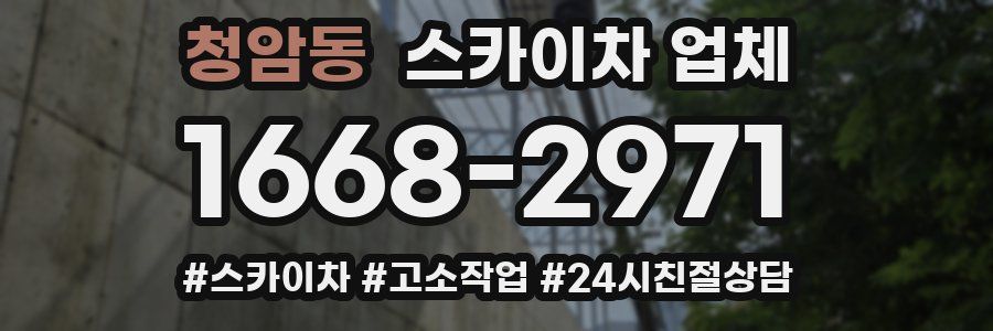 청암동 스카이차 업체