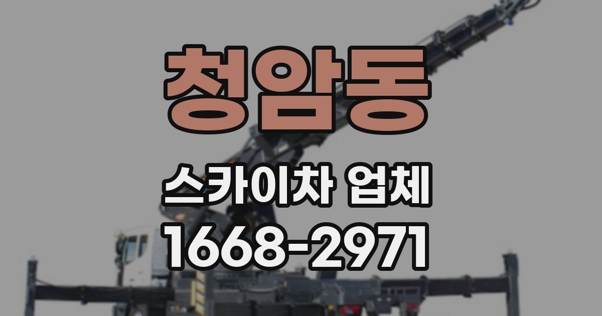 청암동 스카이차 업체