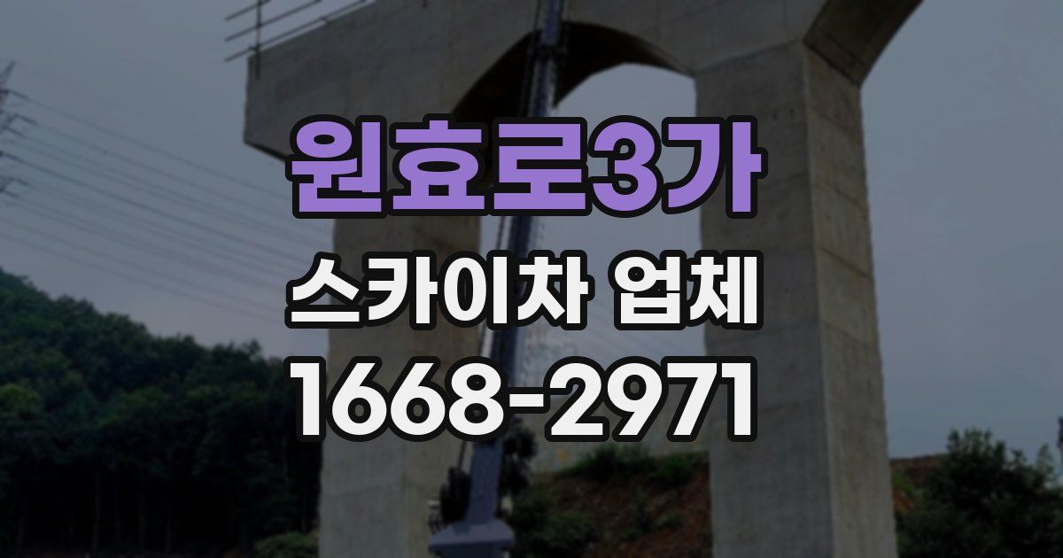 원효로3가 스카이차 업체