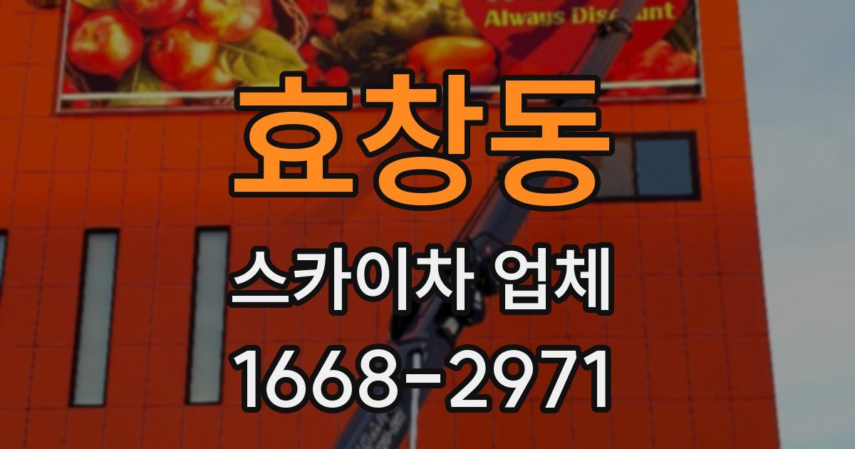 효창동 스카이차 업체