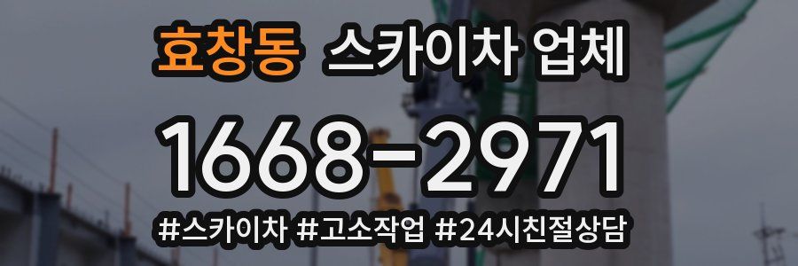 효창동 스카이차 업체