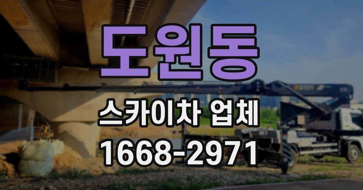 도원동 스카이차 업체