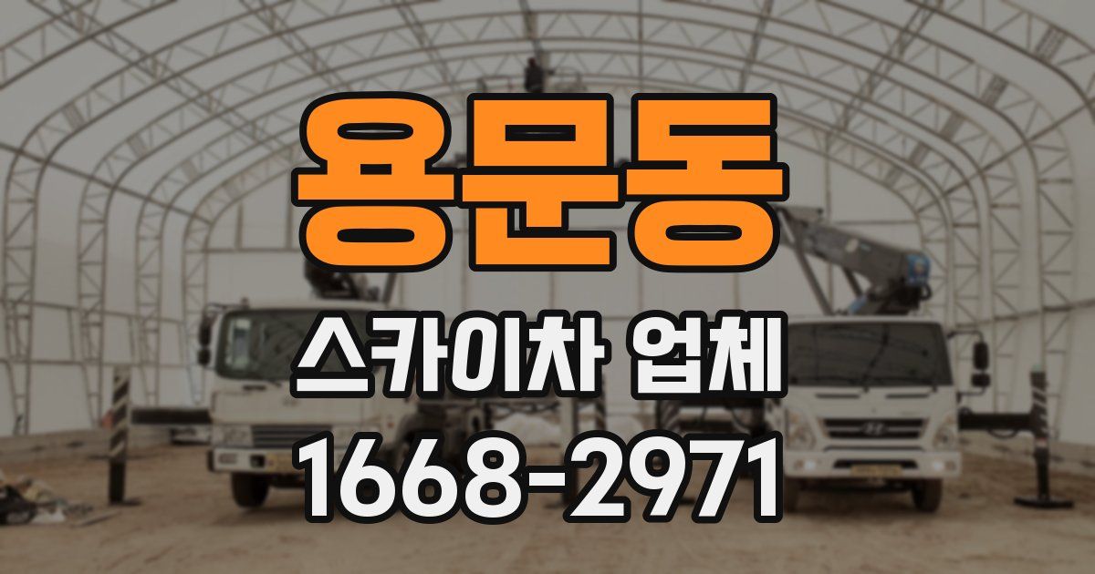 용문동 스카이차 업체