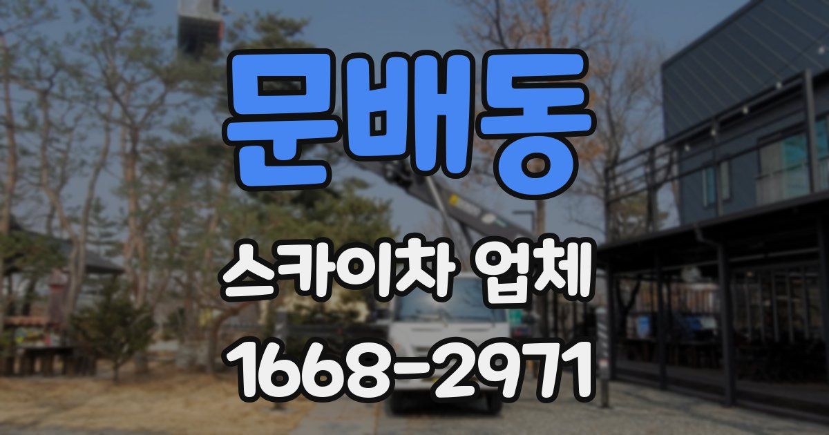 문배동 스카이차 업체