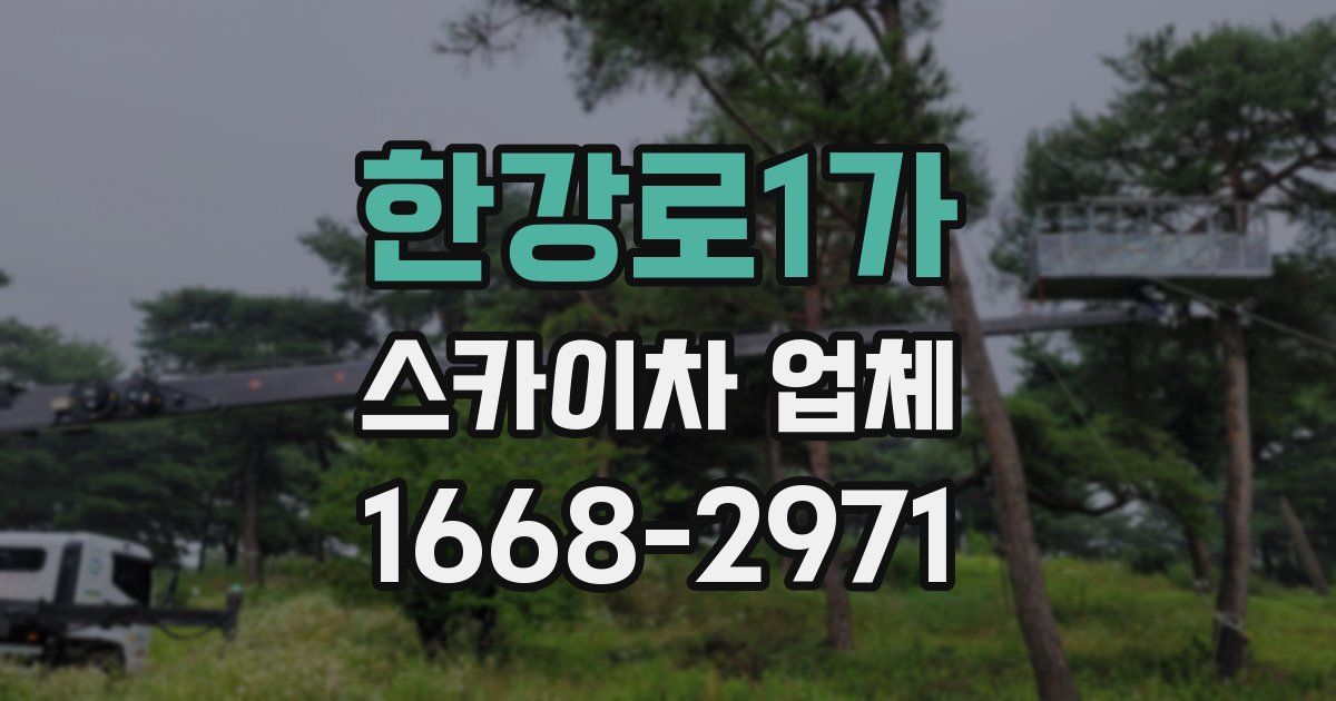 한강로1가 스카이차 업체
