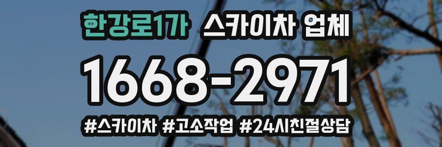 한강로1가 스카이차 업체