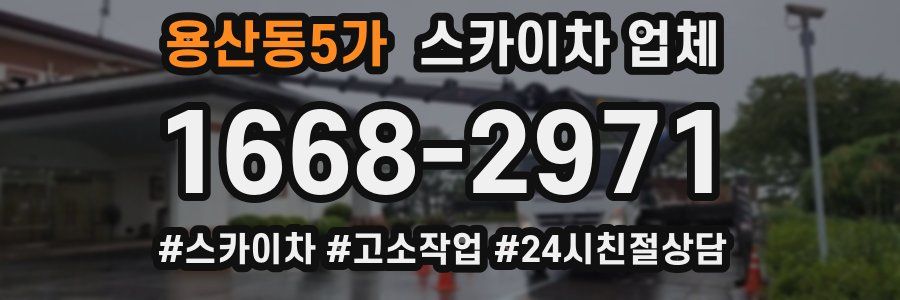 용산동5가 스카이차 업체