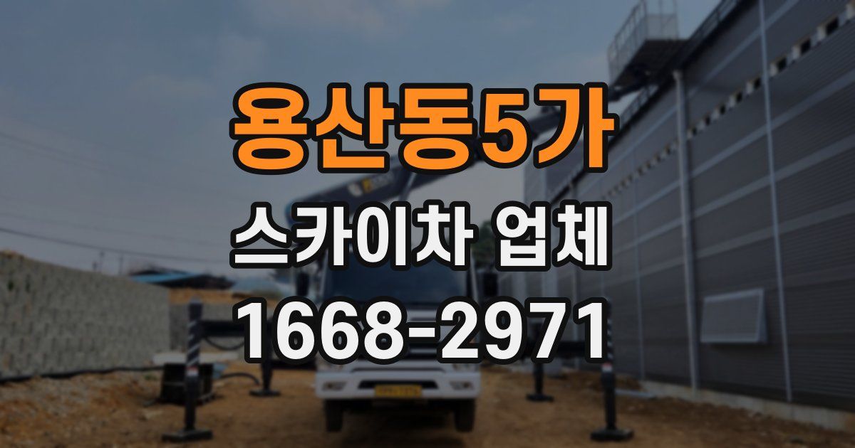 용산동5가 스카이차 업체