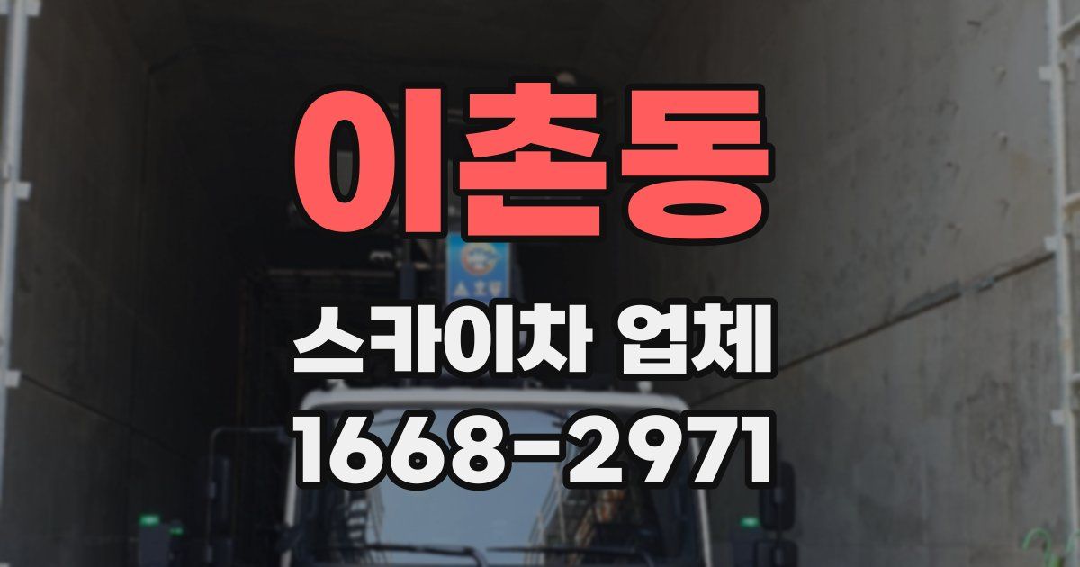 이촌동 스카이차 업체