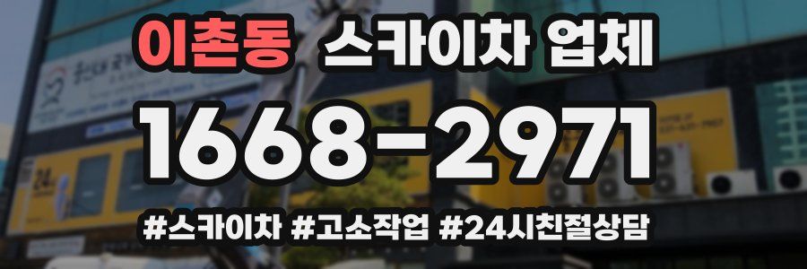 이촌동 스카이차 업체