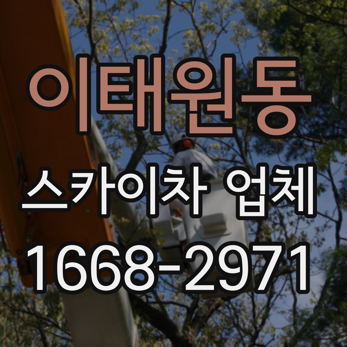 이태원동 스카이차 업체
