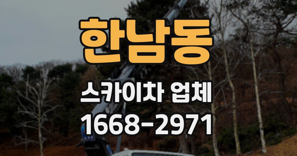 한남동 스카이차 업체
