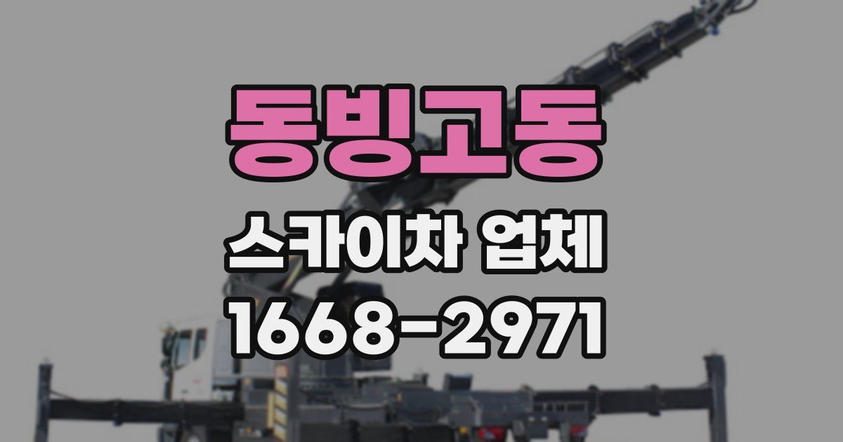 동빙고동 스카이차 업체