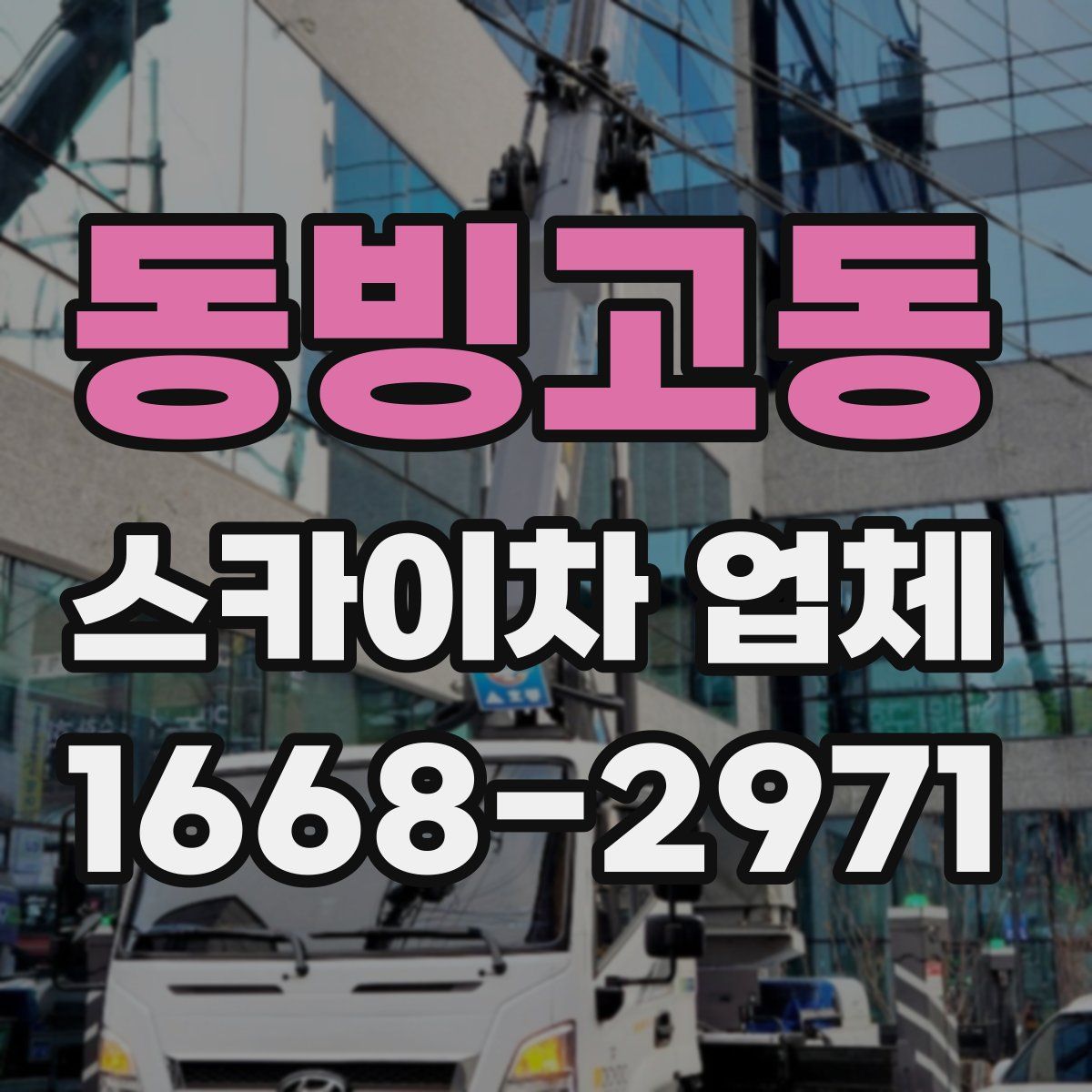 동빙고동 스카이차 업체