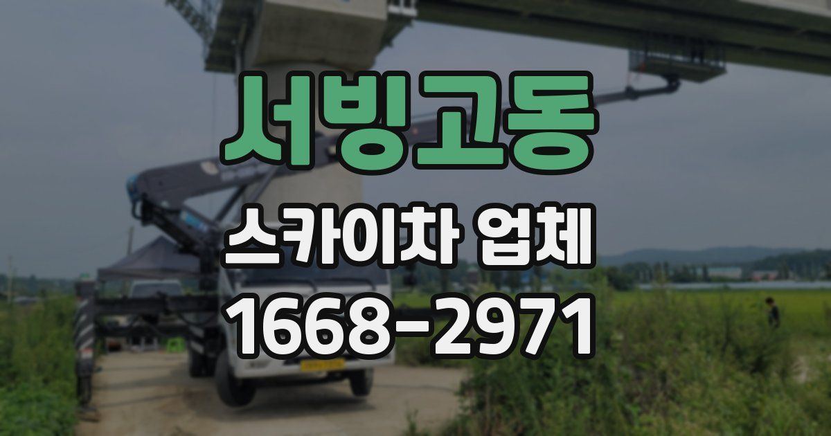 서빙고동 스카이차 업체