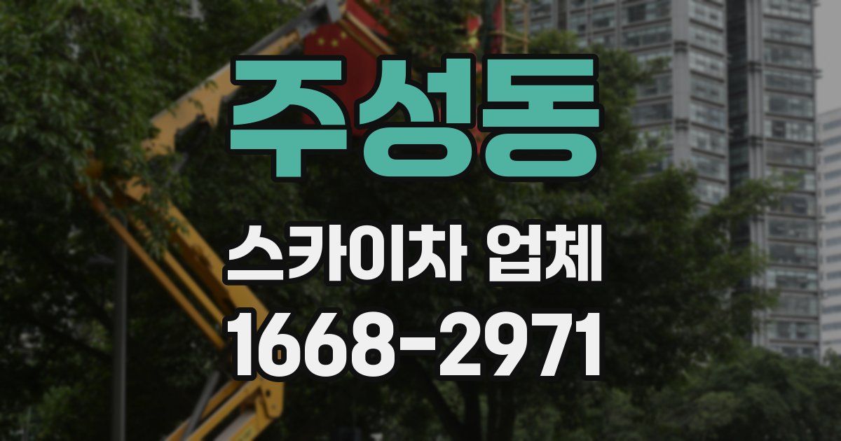 주성동 스카이차 업체