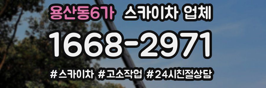 용산동6가 스카이차 업체