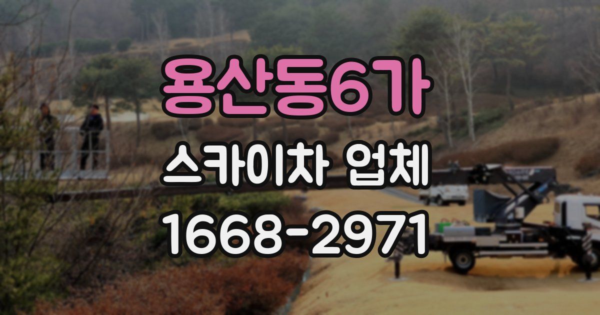 용산동6가 스카이차 업체