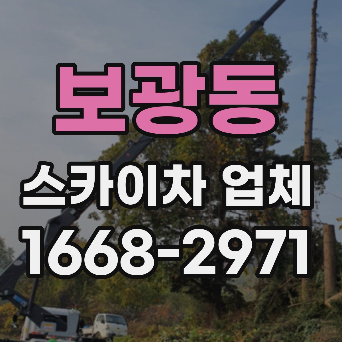 보광동 스카이차 업체