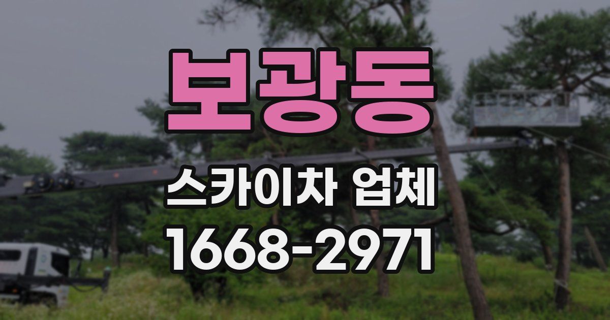 보광동 스카이차 업체