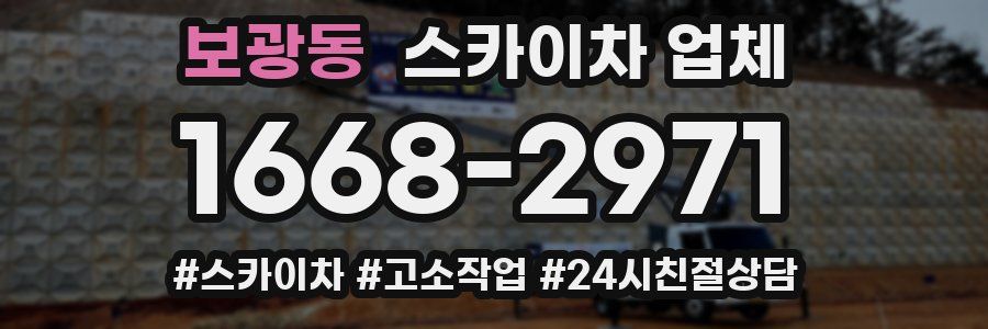 보광동 스카이차 업체