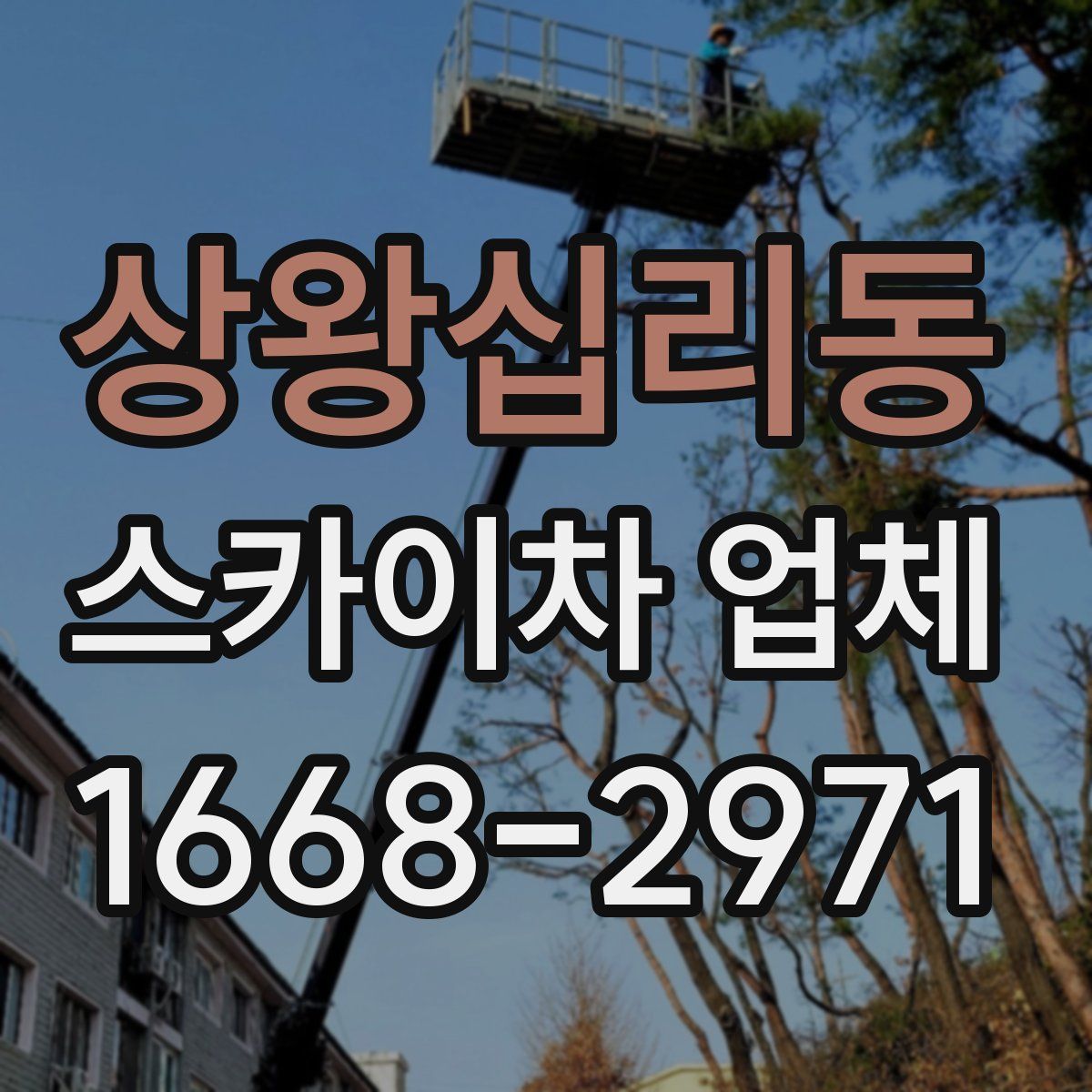 상왕십리동 스카이차 업체