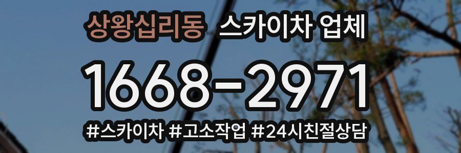 상왕십리동 스카이차 업체