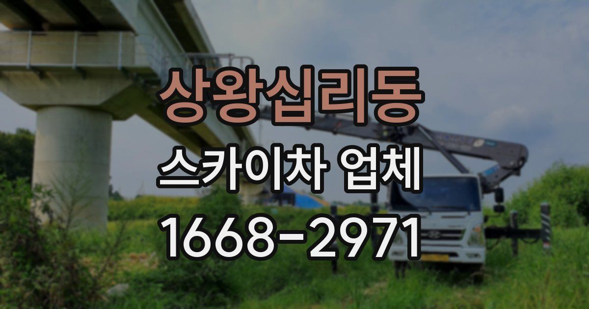 상왕십리동 스카이차 업체