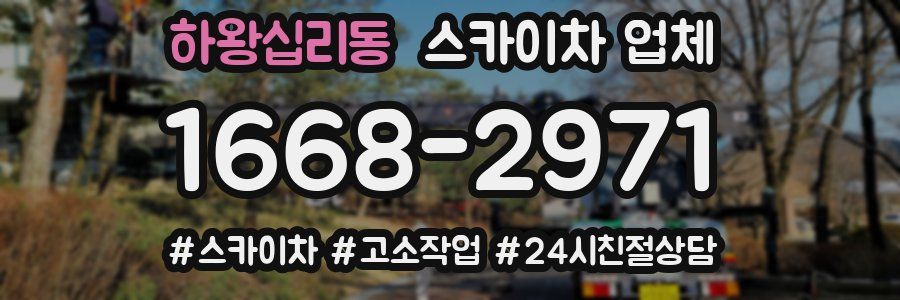 하왕십리동 스카이차 업체