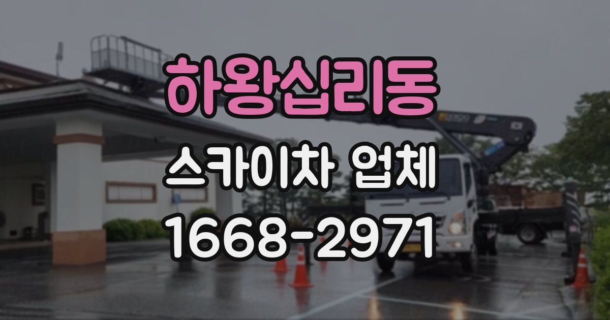 하왕십리동 스카이차 업체