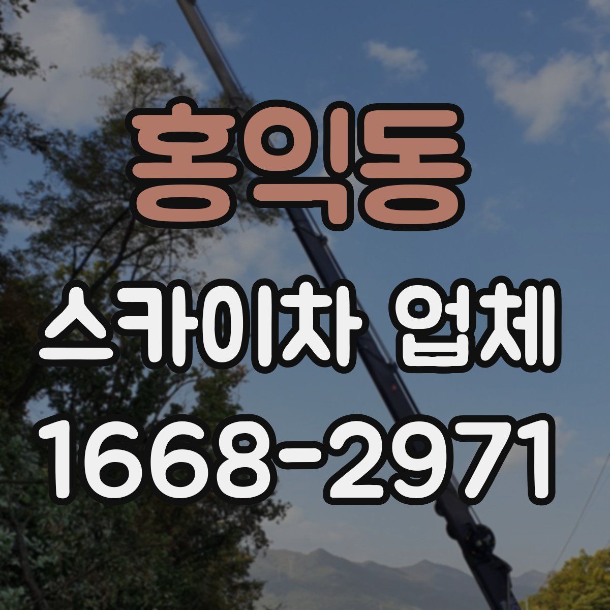 홍익동 스카이차 업체