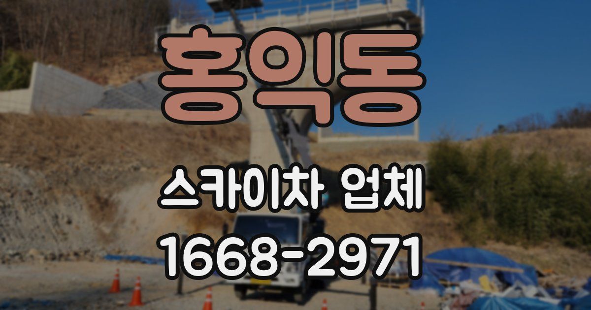 홍익동 스카이차 업체