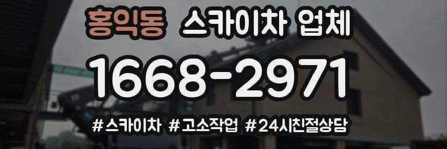홍익동 스카이차 업체
