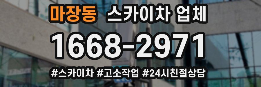 마장동 스카이차 업체