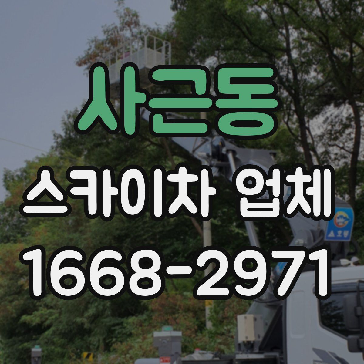 사근동 스카이차 업체